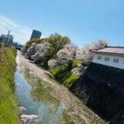 ヒメ日記 2026/04/16 22:20 投稿 竹下夢路 プレジデントクラブ