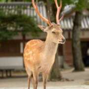 ヒメ日記 2024/08/05 06:51 投稿 みずき 治療院.LOVE小山店