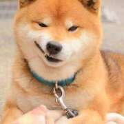 ヒメ日記 2024/12/26 13:03 投稿 みずき 治療院.LOVE小山店