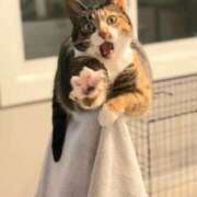 ヒメ日記 2025/01/15 00:03 投稿 みずき 治療院.LOVE小山店