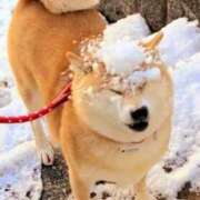 ヒメ日記 2025/01/30 13:03 投稿 みずき 治療院.LOVE小山店