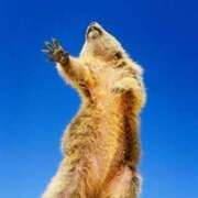 ヒメ日記 2025/02/20 09:21 投稿 みずき 治療院.LOVE小山店