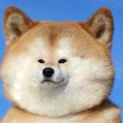 ヒメ日記 2025/03/02 10:03 投稿 みずき 治療院.LOVE小山店