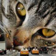 ヒメ日記 2025/03/11 22:27 投稿 みずき 治療院.LOVE小山店