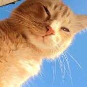 ヒメ日記 2025/03/14 12:03 投稿 みずき 治療院.LOVE小山店