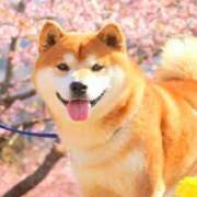 ヒメ日記 2025/03/22 09:03 投稿 みずき 治療院.LOVE小山店