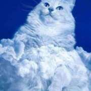 ヒメ日記 2025/04/03 10:21 投稿 みずき 治療院.LOVE小山店