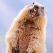 ヒメ日記 2025/05/04 12:03 投稿 みずき 治療院.LOVE小山店