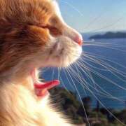 ヒメ日記 2025/07/06 06:03 投稿 みずき 治療院.LOVE小山店