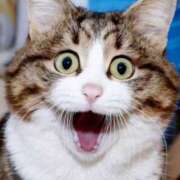 ヒメ日記 2025/07/12 00:09 投稿 みずき 治療院.LOVE小山店