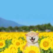 ヒメ日記 2025/07/20 06:03 投稿 みずき 治療院.LOVE小山店