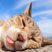 ヒメ日記 2025/08/09 11:03 投稿 みずき 治療院.LOVE小山店