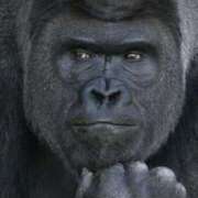 ヒメ日記 2025/12/10 15:06 投稿 みずき 治療院.LOVE小山店