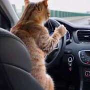 ヒメ日記 2026/01/07 17:03 投稿 みずき 治療院.LOVE小山店