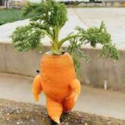 ヒメ日記 2026/01/30 12:33 投稿 みずき 治療院.LOVE小山店