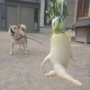 ヒメ日記 2026/03/12 07:12 投稿 みずき 治療院.LOVE小山店