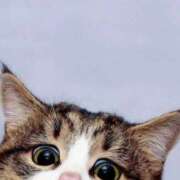 ヒメ日記 2026/03/28 11:18 投稿 みずき 治療院.LOVE小山店