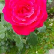 ヒメ日記 2025/05/20 12:59 投稿 はなえ 池袋おかあさん