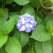 ヒメ日記 2025/05/22 12:57 投稿 はなえ 池袋おかあさん