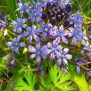 ヒメ日記 2025/06/17 12:58 投稿 はなえ 池袋おかあさん