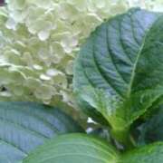 ヒメ日記 2025/06/22 15:49 投稿 はなえ 池袋おかあさん