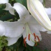 ヒメ日記 2025/06/27 13:01 投稿 はなえ 池袋おかあさん