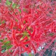 ヒメ日記 2025/10/02 13:04 投稿 はなえ 池袋おかあさん