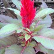 ヒメ日記 2025/10/09 12:54 投稿 はなえ 池袋おかあさん