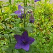 ヒメ日記 2025/10/13 12:44 投稿 はなえ 池袋おかあさん