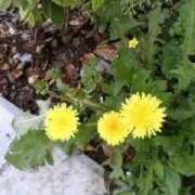 ヒメ日記 2025/10/14 13:04 投稿 はなえ 池袋おかあさん