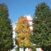 ヒメ日記 2025/10/21 12:44 投稿 はなえ 池袋おかあさん