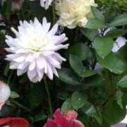 ヒメ日記 2025/10/24 13:04 投稿 はなえ 池袋おかあさん