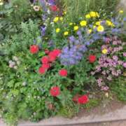 ヒメ日記 2025/10/29 12:58 投稿 はなえ 池袋おかあさん