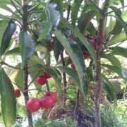 ヒメ日記 2025/11/10 13:04 投稿 はなえ 池袋おかあさん