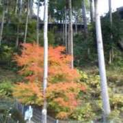 ヒメ日記 2025/11/17 13:04 投稿 はなえ 池袋おかあさん