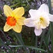 はなえ 出勤しました 池袋おかあさん