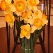 ヒメ日記 2026/01/27 13:25 投稿 はなえ 池袋おかあさん