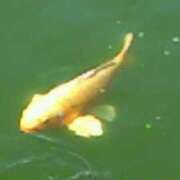 ヒメ日記 2026/01/28 13:24 投稿 はなえ 池袋おかあさん