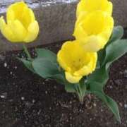 ヒメ日記 2026/02/06 13:34 投稿 はなえ 池袋おかあさん