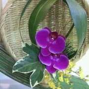 ヒメ日記 2026/02/25 13:34 投稿 はなえ 池袋おかあさん