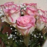 ヒメ日記 2026/03/06 13:34 投稿 はなえ 池袋おかあさん