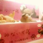 ヒメ日記 2026/03/12 13:24 投稿 はなえ 池袋おかあさん