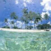 ヒメ日記 2026/03/19 13:14 投稿 はなえ 池袋おかあさん