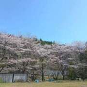 ヒメ日記 2026/04/03 13:34 投稿 はなえ 池袋おかあさん