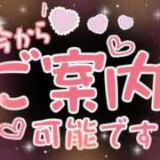 ヒメ日記 2026/08/04 17:08 投稿 千葉 西川口デッドボール