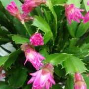 ヒメ日記 2025/01/10 16:15 投稿 すみれ 北九州人妻倶楽部（三十路、四十路、五十路）