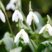 ヒメ日記 2025/02/04 21:39 投稿 すみれ 北九州人妻倶楽部（三十路、四十路、五十路）