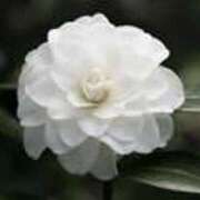 ヒメ日記 2025/02/05 16:09 投稿 すみれ 北九州人妻倶楽部（三十路、四十路、五十路）