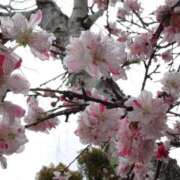 ヒメ日記 2025/02/06 19:33 投稿 すみれ 北九州人妻倶楽部（三十路、四十路、五十路）