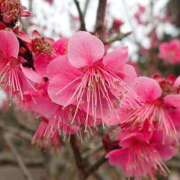 ヒメ日記 2025/02/22 16:03 投稿 すみれ 北九州人妻倶楽部（三十路、四十路、五十路）